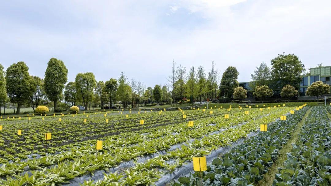 与多家种植基地建立密切合作,同时也在质量标准化上严格把关,如农药